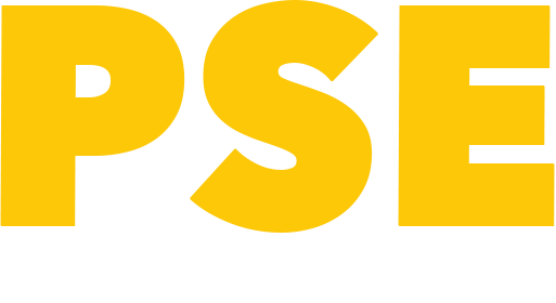 Porn Star Experience