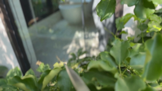 558 Hot Brunette Fucks Gardener While Husband Is on BusinessTrip_1080p.mp4