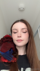 1843402167_my-little-feathered-squad-one-keeps-me-grounded-the-other_0.mp4