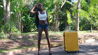 Dark-skinned Beauty With Perfect Breasts Pays For A Trip With Rough Anal Sex (1080).mp4