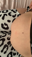 1071513314_part-1-my-favorite-thing-to-do-put-my-dumb-cow-outfit-on-a_0.mp4