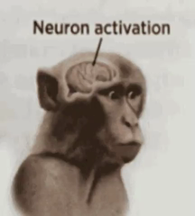 1898842289239187593_1.mp4
