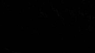 STARS.mp4