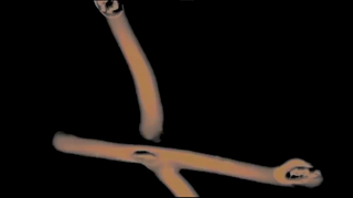 Foster Tapes Vol. 1.mp4