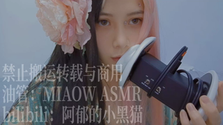 💙851，疲劳的口腔音（3dio）3２min丨阿郁的小黑猫丨爱发电.mp4