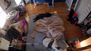 AMWednesday+741213440235810817.mp4