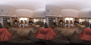 VRBANGERS_the_harlots_house_2_6K_180x180_3dh.PART1.mp4