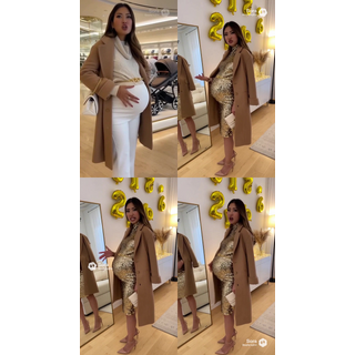 pghpregfan--60021541_s_6957e738a40c8191ae809b1028ab5b23.jpg
