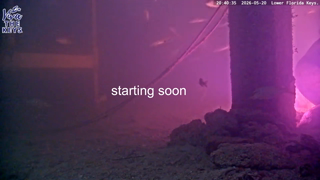 -CallMeGoob-_2026-05-20.mp4_fixed-s1.mp4
