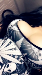 319533_fluffy-kitty_0.mp4