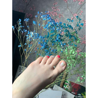 thumb_735928407681937408.jpg