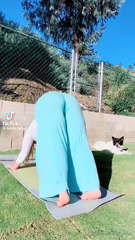 774404157_anyone-else-love-yoga_0.m4v