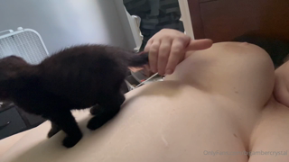 680895190_my-kittens-name-is-a-restricted-word-apparently-lmao_0.m4v