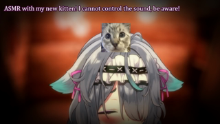 [20260601] My new kitten does ASMR!.mp4