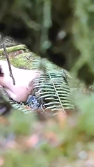 voyeur2.mp4