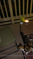 170493757_look-at-my-cute-little-patio-obviously-need-a-different-rug_0.m4v