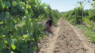 Caught a Shameless Girl by Fucking in the Ass on the Farm_DisDiger_1080p.mp4