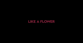 wowgirls.16.08.11.candy.sweet.like.a.flower.2160p.mp4