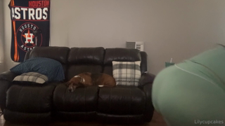 0ih42gg44hf1c6plef49k_source.mp4