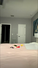 Strawberrytabby_20260830.mp4