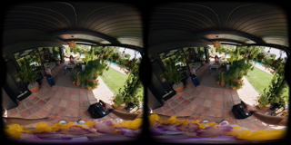 VRBANGERS_hawaiian_paradise_8K_180x180_3dh.PART1.mp4