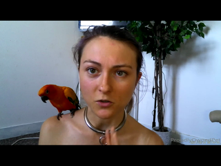 proudlyownedpet_2021-07-06.m4v