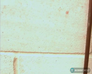 Andy_9860_480p.mp4