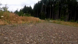 386907889_during-my-last-photoshoot-i-was-out-in-the-woods-and-a-tiny_0.m4v
