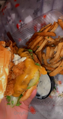 82076271_deep-fried-bacon-cheese-burger-with-parmesan-truffle-fries_1.m4v