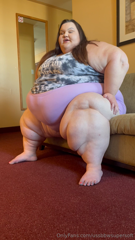 726630049_come-cuddle-at-your-own-risk-you-may-get-squished_0.mp4