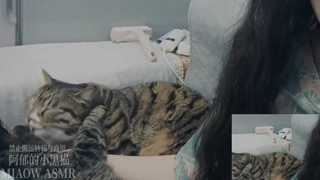 ❤️887， 红心 吸耳口腔音（3dio zoom）【MIAOW ASMR 阿郁的小黑猫】36min丨阿郁的小黑猫丨爱发电.mp4