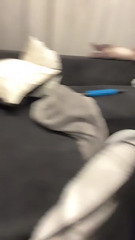 20231121_plastic_s_7_18014864116982689_1700506958_live.mp4