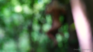 Woods.mp4