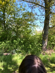 MariiD_Stripchat_20260424_135109.mp4