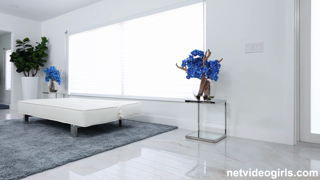NetVideoGirls.24.02.21.Dylan.XXX.1080p.HEVC.x265.mkv