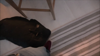 2021-03-02 - Kitten Latenight - The Private Vacation - [FamilyTherapy].mp4