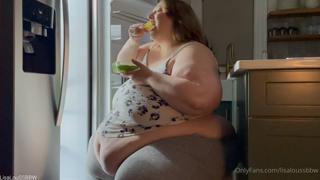 1627481634_fridge-raid-12-10-min-10this-video-is-sold-for-13-on-m_0.mp4