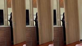 564 Tung Tung Tung Sahur T3 Cosplay Sweetie Fox Brainrot_4k_orig.mp4