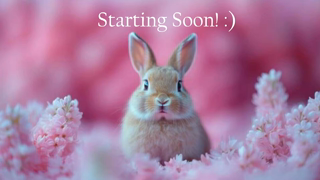 bunnydollstella_2026-05-21.mp4