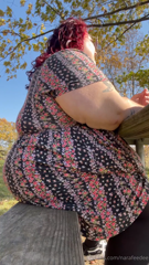1847658022_october-2023340sfall-began-to-fade-into-winter-and-i-continu_11.mp4