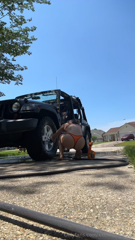 xxemberraexx_-_2024-05-28_A_jeeping_event_is_coming_up__amp_I_want_her_shiny_2.mp4