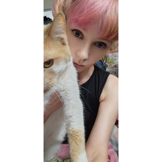 HO_vGF8XcAA1ZtZ.jpg
