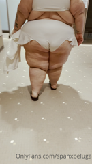 113350754_just-waddling-into-tuesday-like_0.m4v