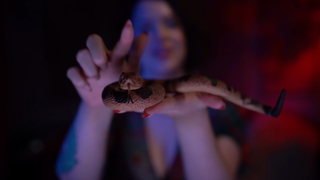 20240903-Playing_with_your_Snake_ASMR-3Mj1Q7j-1UI.mkv