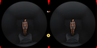 SLR_SLR_Originals_Nicole_Doshi_Experience_4000p_65242_FISHEYE190_alpha.PART1.mp4