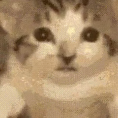 1867204897231286286_1.mp4