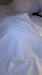 369733_1080p.mp4
