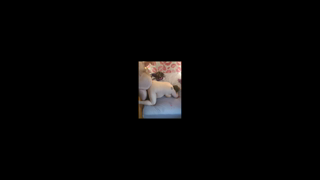 misswildkittensc1vid28.wmv