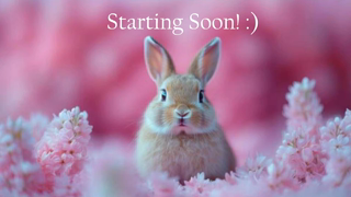 bunnydollstella_2026-05-16.mp4