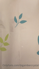 132551053_shower-time-nothing-like-a-good-clean-piggy_0.m4v